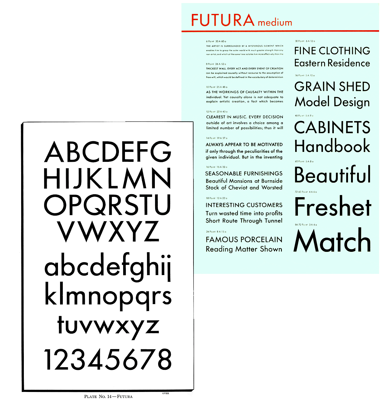 Type specimen of Futura medium